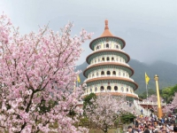 Bạn có hẹn với 7 địa điểm du lịch ngắm hoa anh đào ở Đài Loan vào mùa xuân